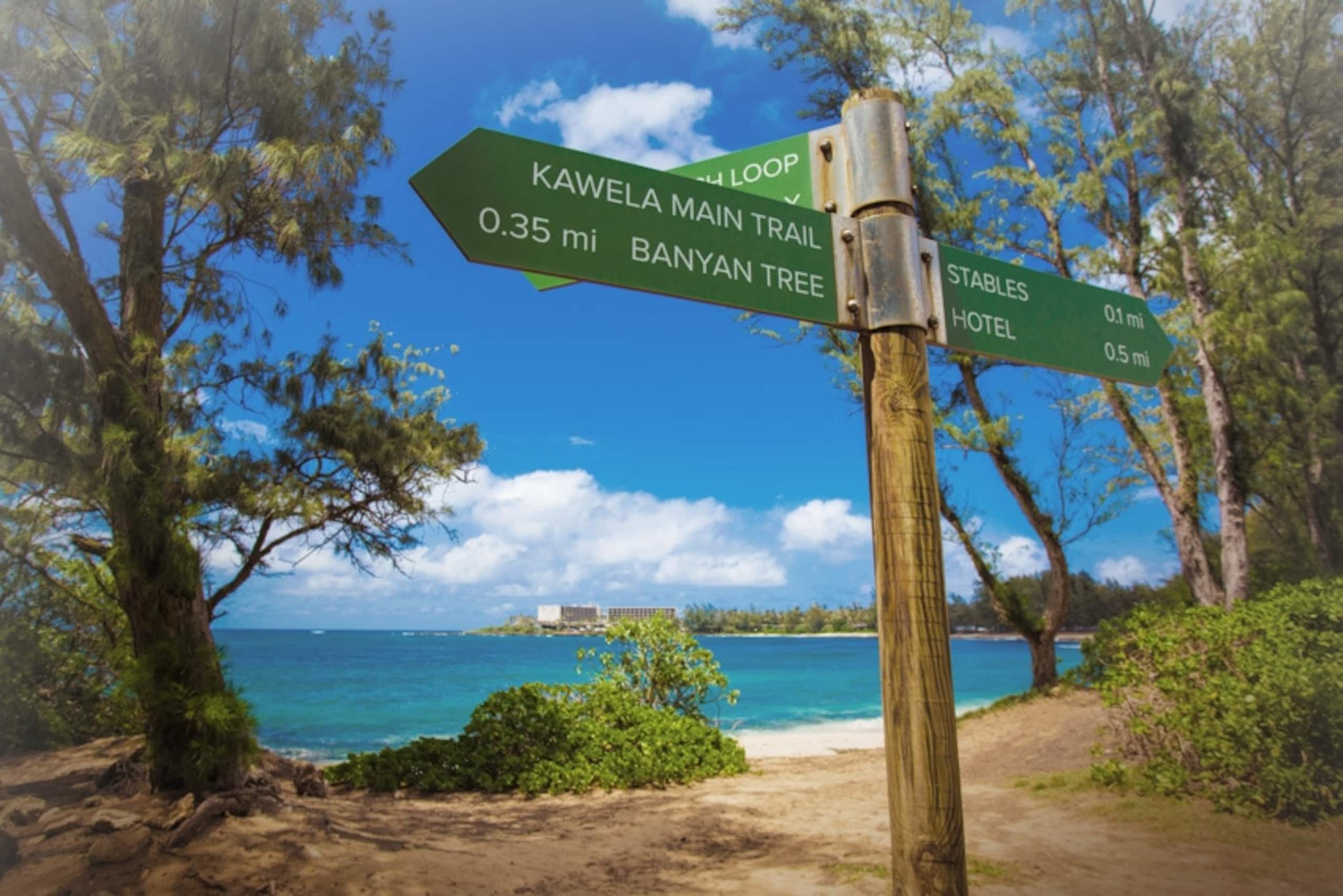 Hale Honu - Image 18
