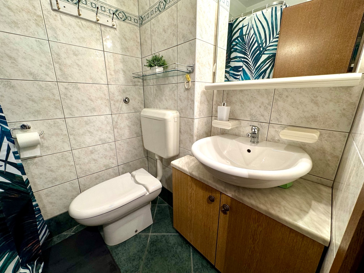 Studio apartment Vida