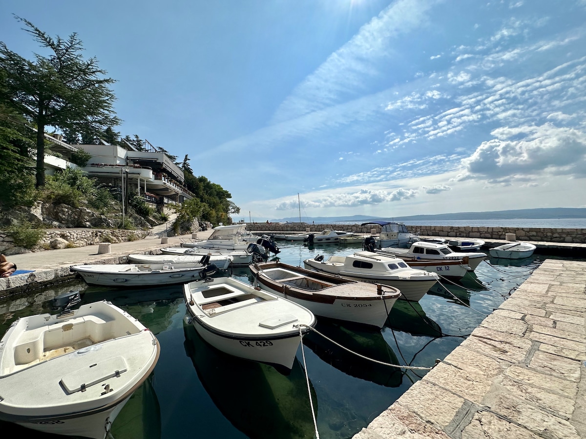 Studio apartment Vida