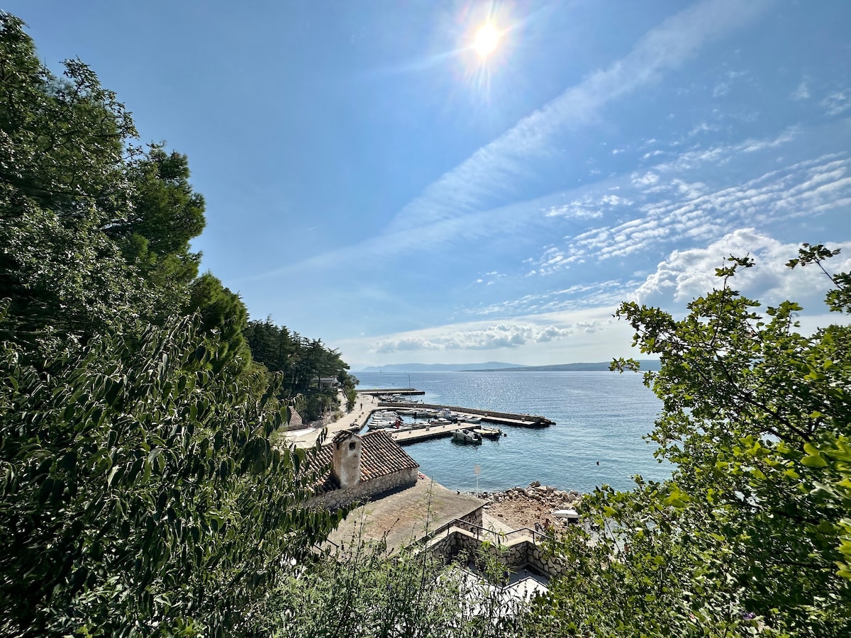 Studio apartment Vida