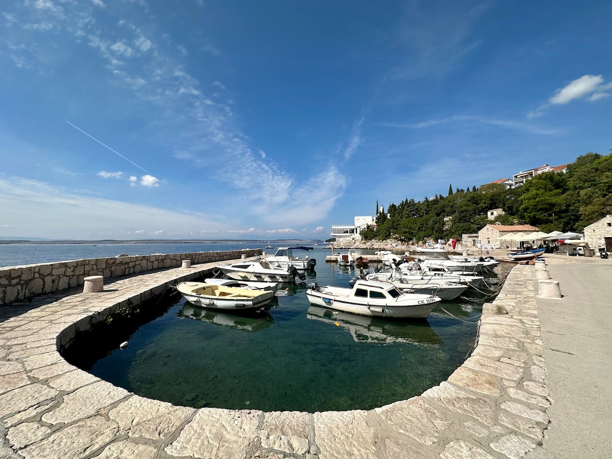 Studio apartment Vida