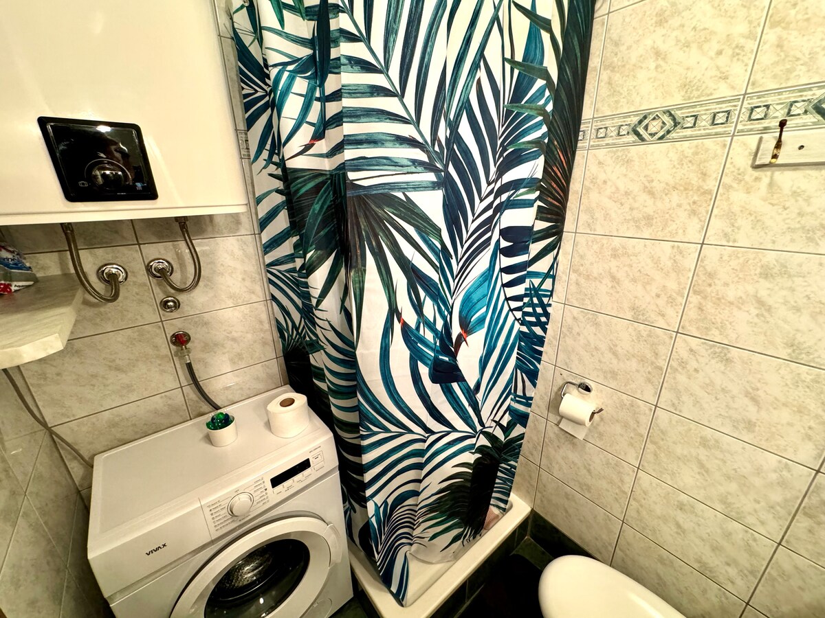 Studio apartment Vida