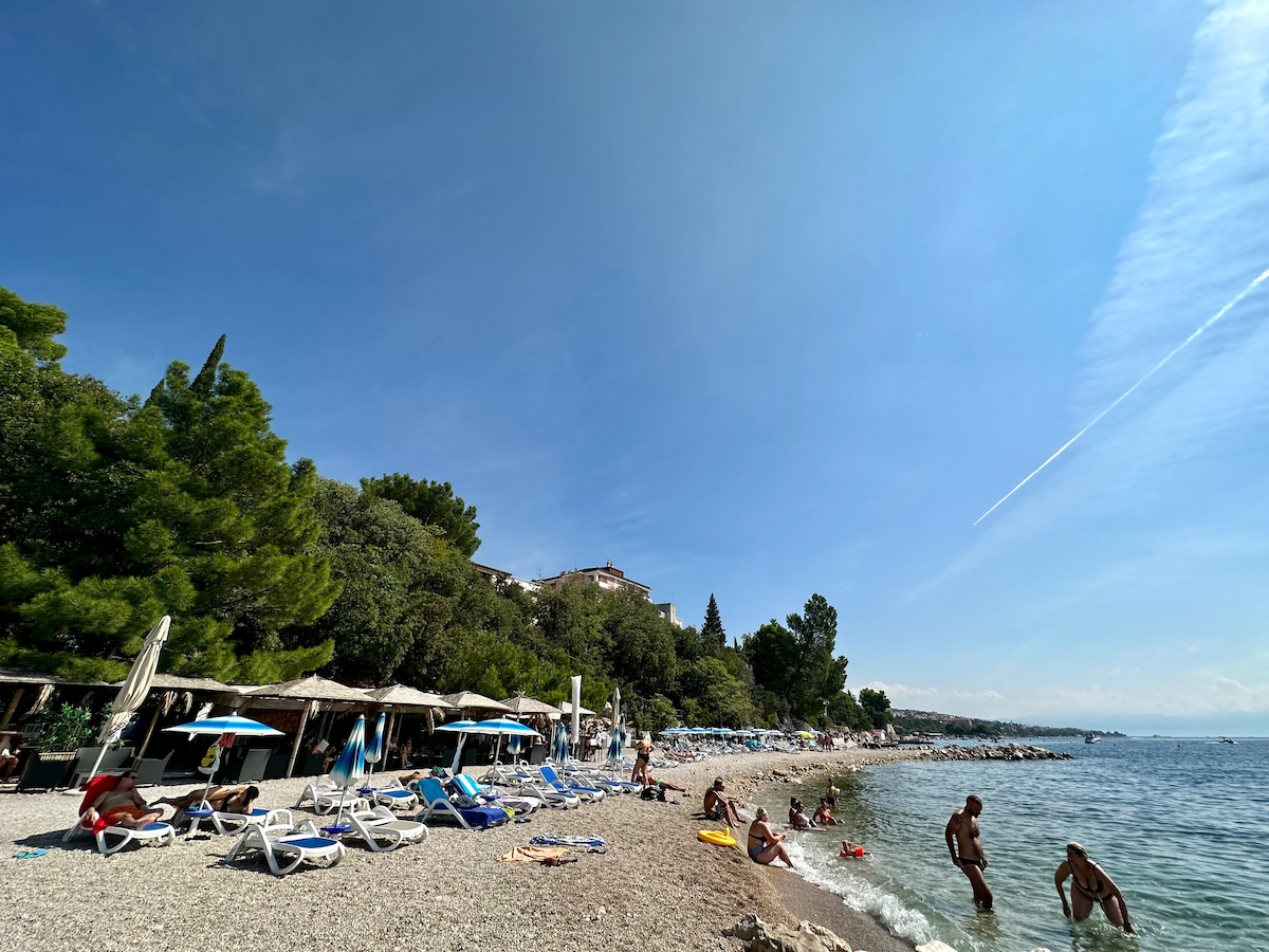 Studio apartment Vida