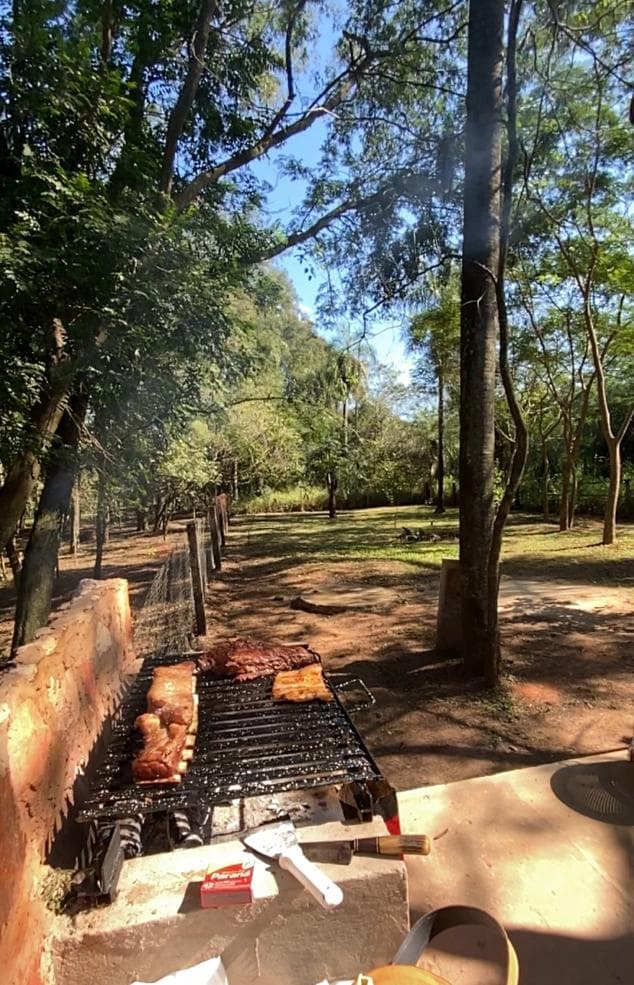 A grill is positioned in the foreground, displaying various meats being cooked. In the background, a lush, green space is visible, surrounded by tall trees and dappled sunlight filtering through the foliage.
