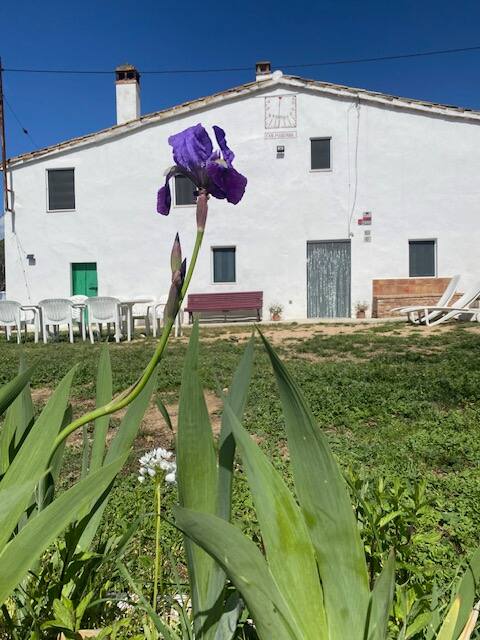 Nice and comfortable farmhouse .