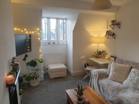 Central Windsor boutique top floor apartment