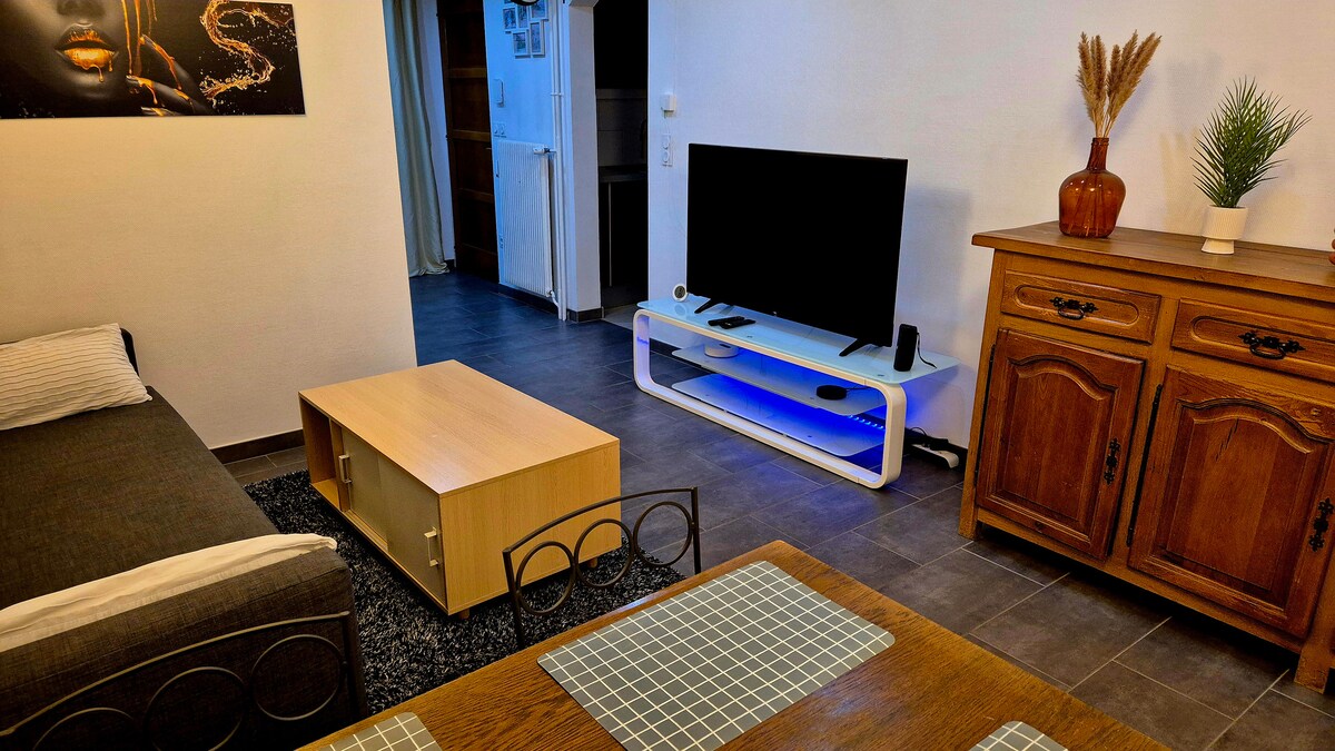 Propriété Airbnb réussie: F2 apartment near Petite Venise à Colmar