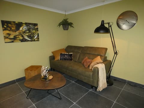 Top performing Airbnb: Poppendamme Studio in Zeeland