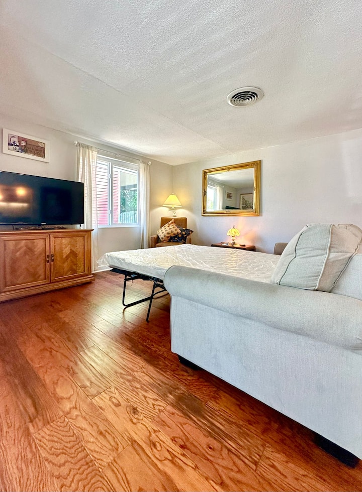  Le salon dispose d'un canapé-lit queen size et d'une télévision.