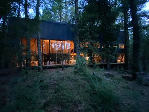 Spectacular family house in Huilo Huilo