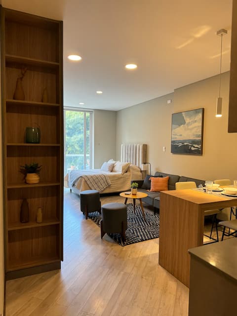 Luxurious  and comfortable mono ambience