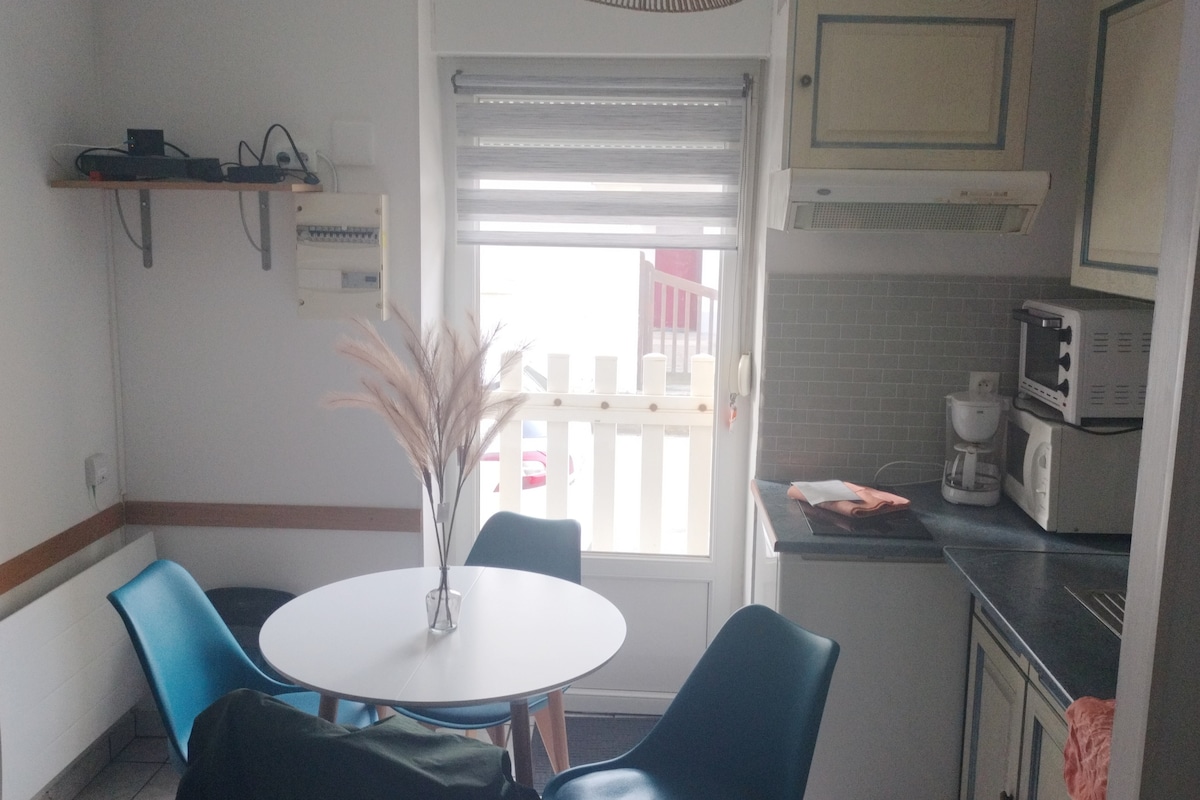 A compact kitchen area features a round white table surrounded by four blue chairs. Natural light enters through a window with blinds, illuminating the space. A kitchenette with appliances is present, along with a light-colored cabinet above. A decorative plant arrangement enhances the table.