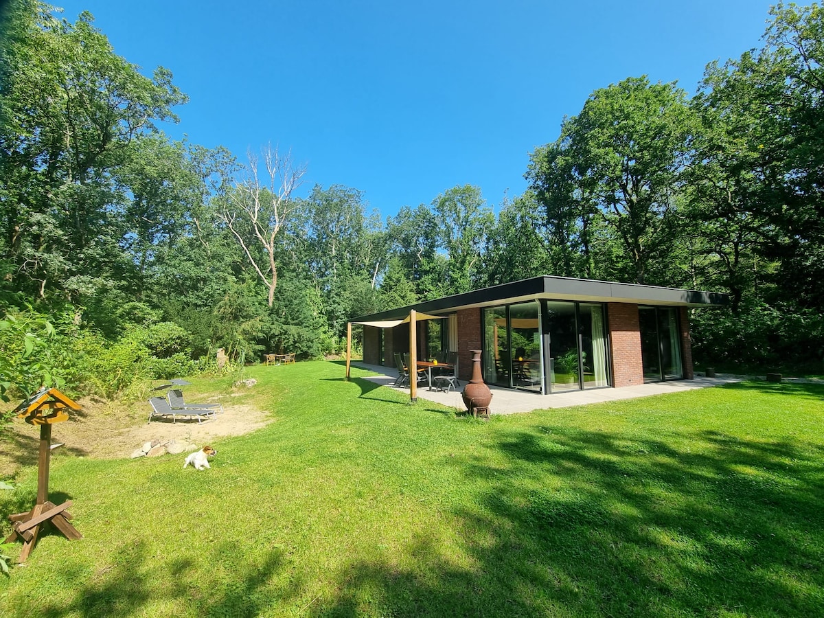 A modern villa is set amidst a lush green landscape, with large glass panels allowing for an abundance of natural light. A tranquil outdoor area features a fire pit, lounge chairs, and surrounded by trees, creating a serene connection to nature.