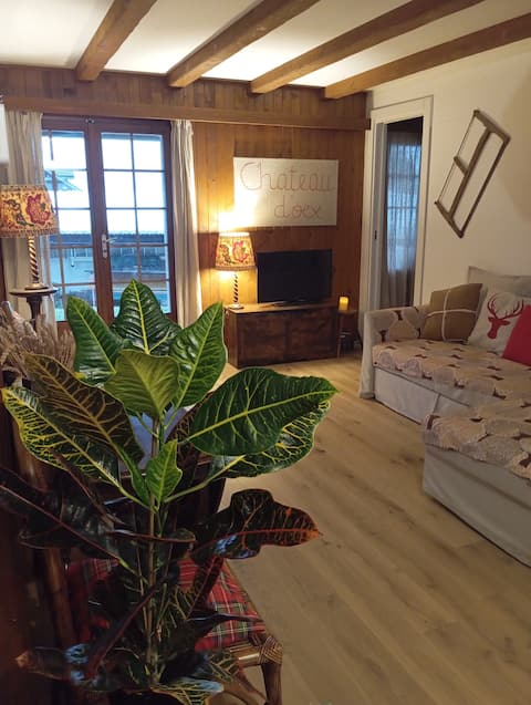 Cozy flat in the heart of Alps