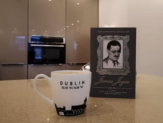 Dublin City Heart- Location Location Location! gallery image 3