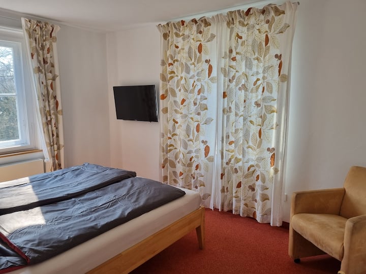 טלוויזיה עם נטפליקס וכו 'מקל בחדר שינה 2