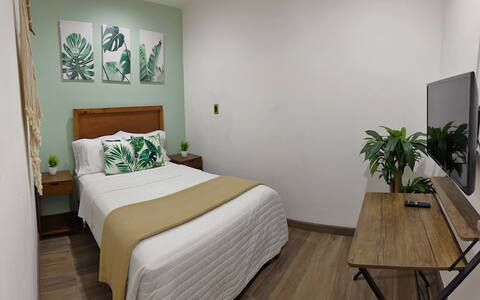 "tropical rainforest" apartment isla de la piedra