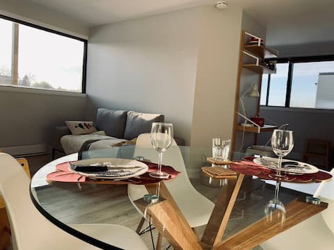 4 ½ with balcony in Downtown