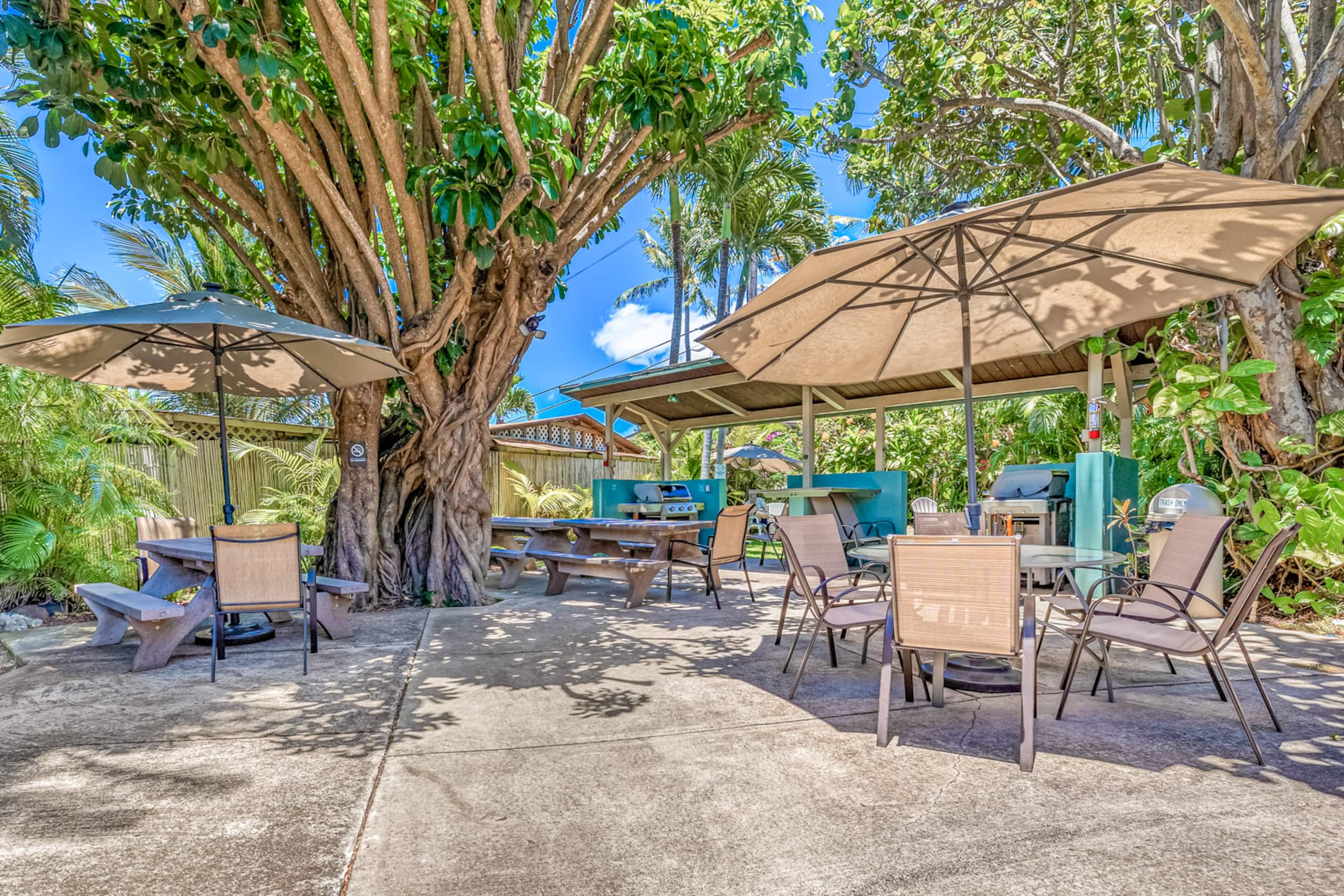 Condo in Lahaina · ★5.0 · Studio · 2 beds · 1 bath - Image 18