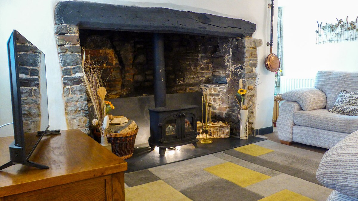 Successful Airbnb property: Thatched Cottage near Hartland Point, North Devon in Hartland
