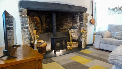 Successful Airbnb property: Thatched Cottage near Hartland Point, North Devon in Hartland