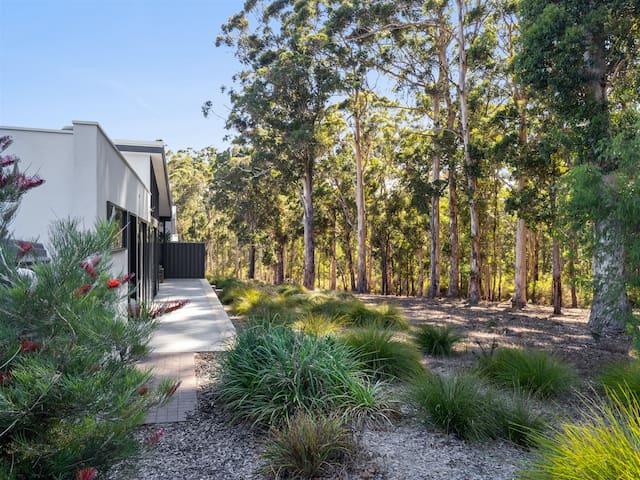 Karriscape – endless forest view