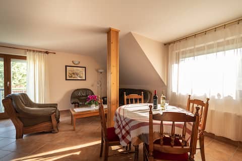 Top performing Airbnb: Balaton Apartment 4 fö in Keszthely