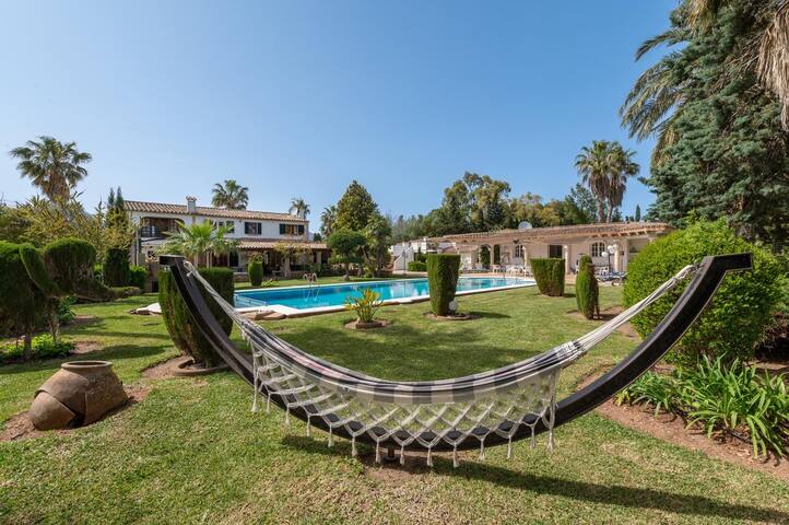 La Viña Gran gallery image 5