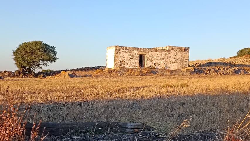 The Millhouse, Aegean charm. gallery image 2