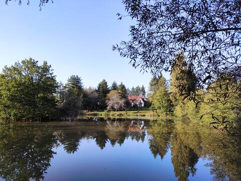 Garden with pond - sleeps 8