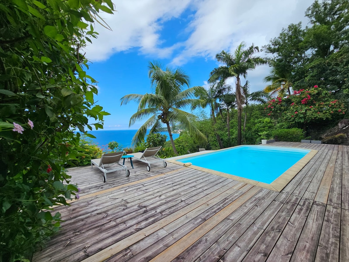 The outdoor area features a wooden deck with two lounge chairs positioned beside a clear saltwater pool. Surrounding lush greenery includes palm trees and colorful flowers, providing a tropical ambiance. A bright sky is visible in the background, enhancing the serene setting.
