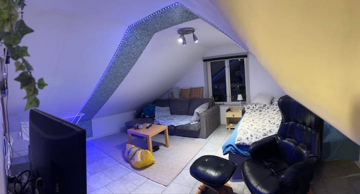 Vindslägenhet I Centrala Visby - Visby