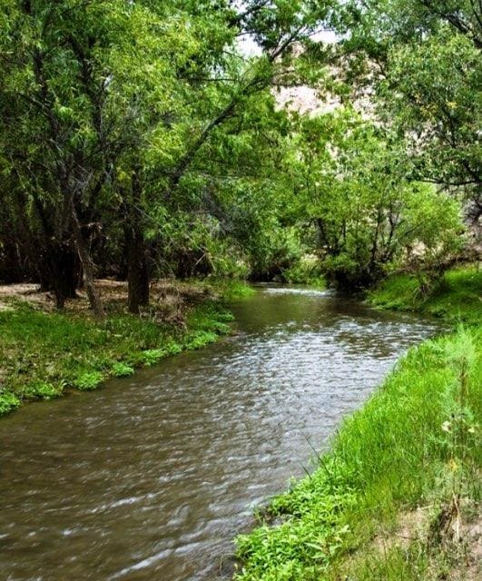 A serene landscape features a gently flowing river bordered by lush greenery. Various trees stand along the banks, providing a natural shade, while the water reflects the surrounding foliage. The peaceful scene emphasizes the tranquil setting of the rural area.