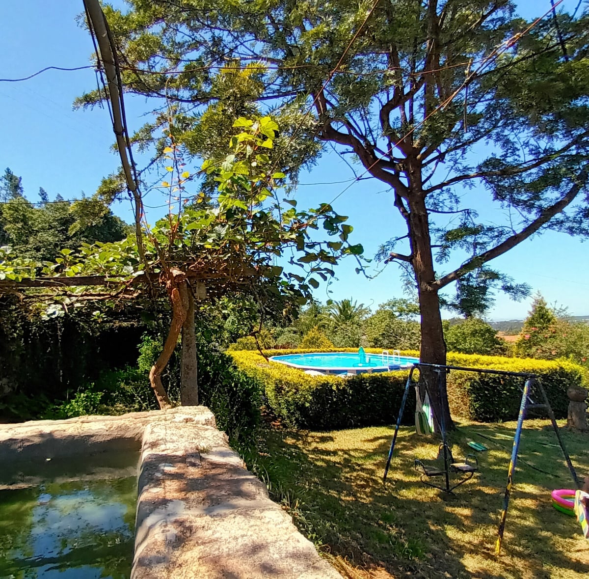 A serene outdoor space is highlighted by a large swimming pool surrounded by greenery. A swing set is visible in the yard, complemented by mature trees providing shade. The landscape features neatly trimmed hedges, contributing to a peaceful environment ideal for relaxation.