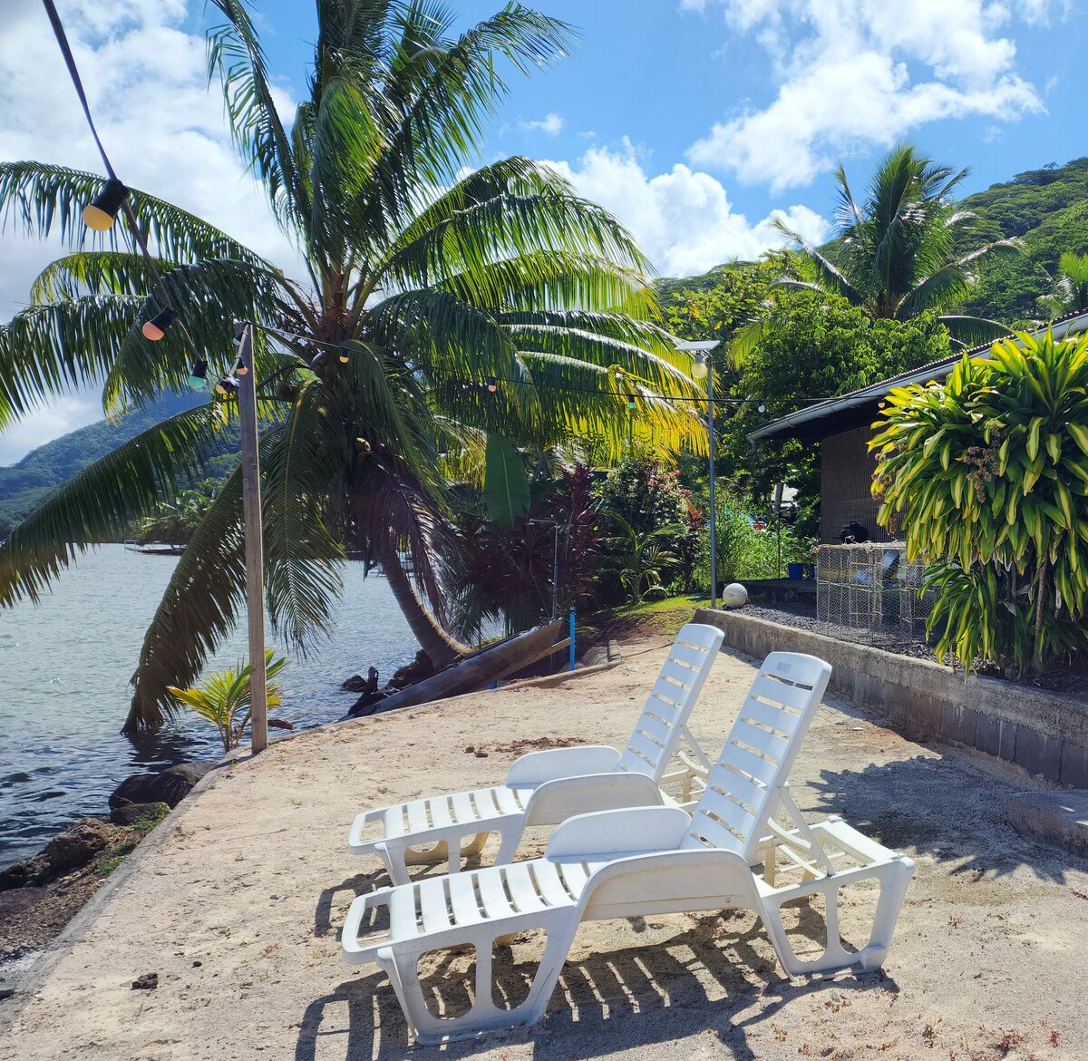 Three white lounge chairs are positioned on the sandy beach, facing the tranquil water. Lush green palm trees sway gently in the breeze, and distant greenery outlines the scenic lagoon, while a clear blue sky is dotted with fluffy white clouds.