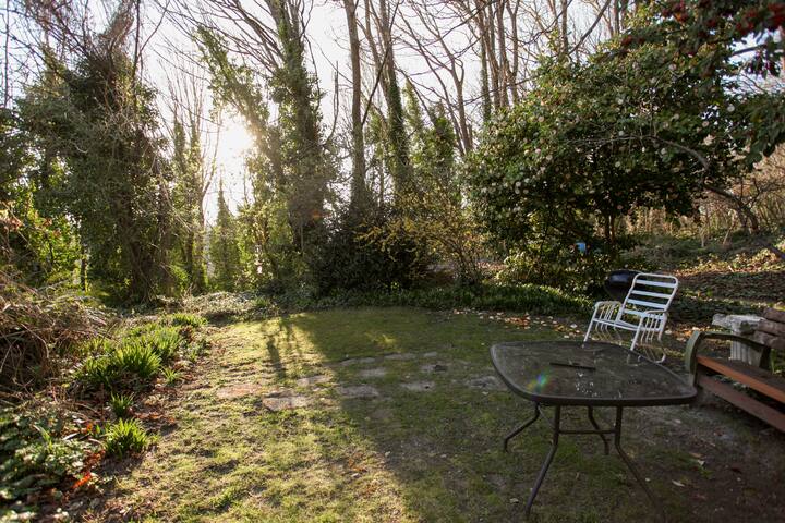 6 Room Apartment in the Forest – 5 min to Downtown gallery image 2