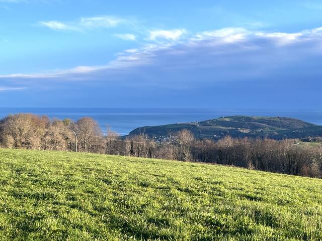 Caserío Bizkar, la escultura que se habita gallery image 4