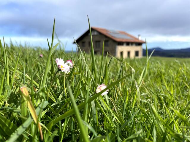 Caserío Bizkar, la escultura que se habita gallery image 3