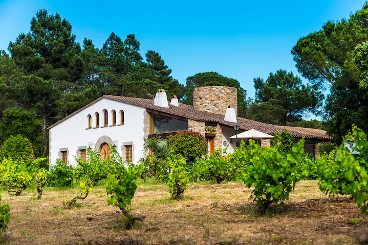 Mas Ginestera – Exclusiva Masia en Llambilles gallery image 3