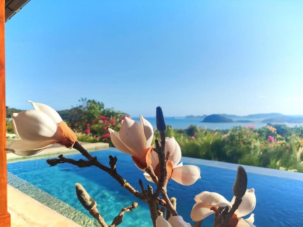 A tranquil pool is bordered by lush greenery, with views overlooking the sparkling blue ocean. Delicate flowers branch out in the foreground, adding a touch of natural beauty to the scene. Clear skies create a serene backdrop for a relaxing getaway.
