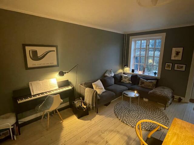 Town house in Copenhagen gallery image 3