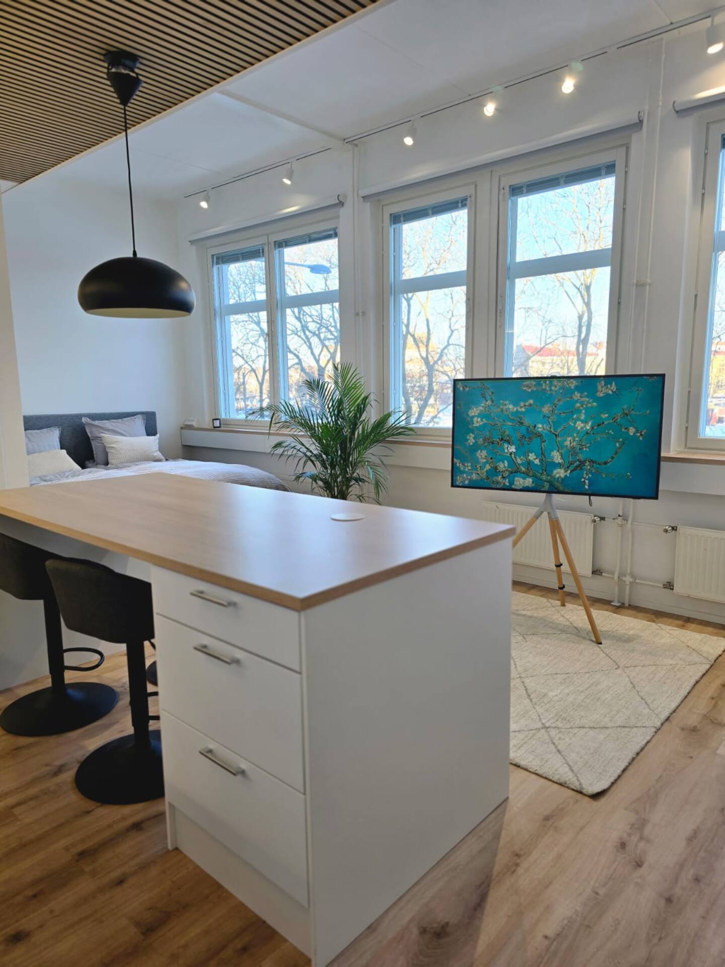 Upea Asunto Salon Sydämessä. 3