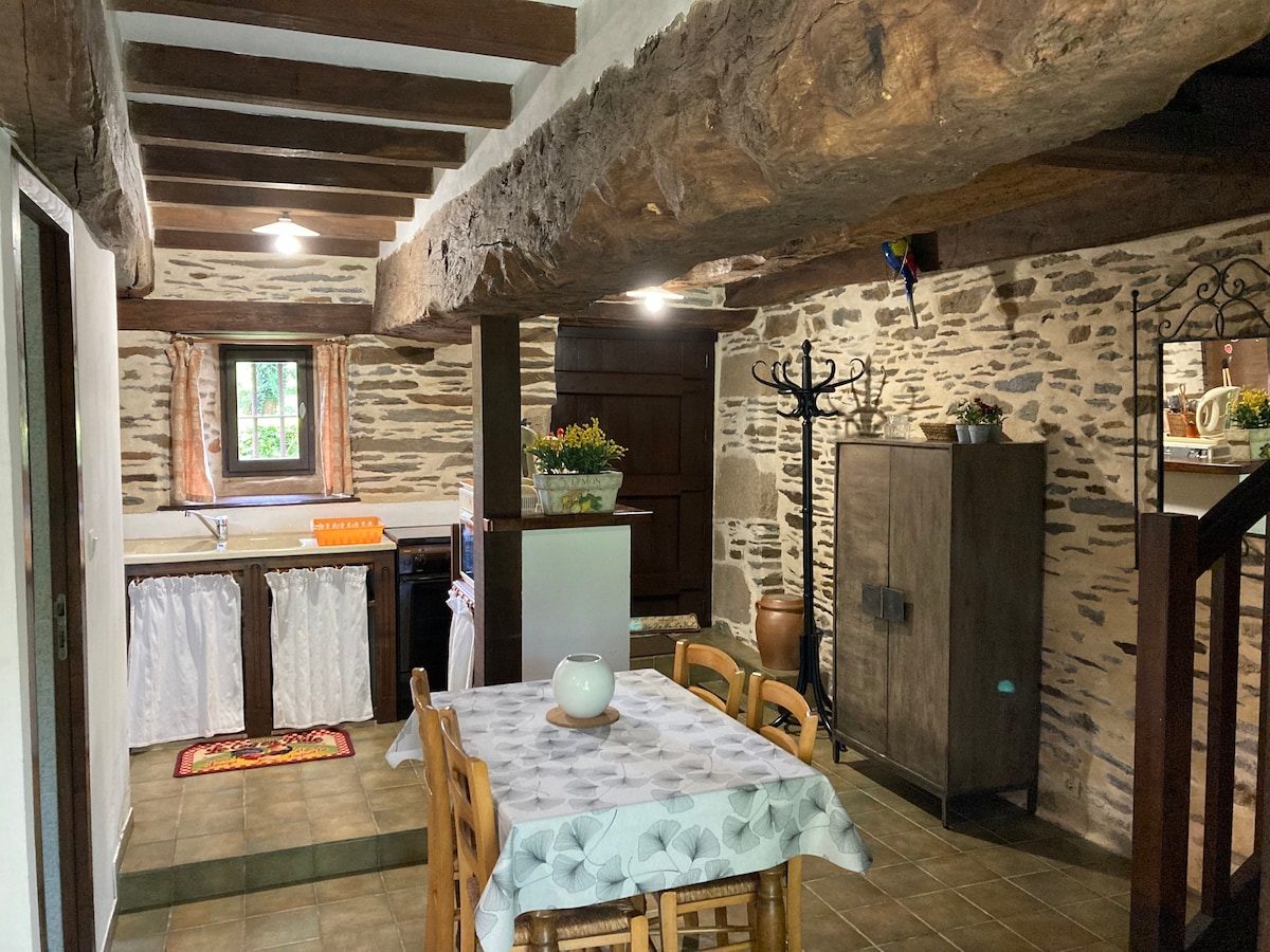 The kitchen area features a rustic stone wall complemented by wooden beams overhead. A dining table with four chairs sits in the foreground. Kitchen amenities are organized along the wall, with a window providing natural light. Decorative plants add a touch of warmth to the space.