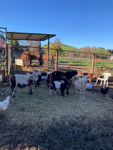 Peaceful Place to Relax gallery image 2