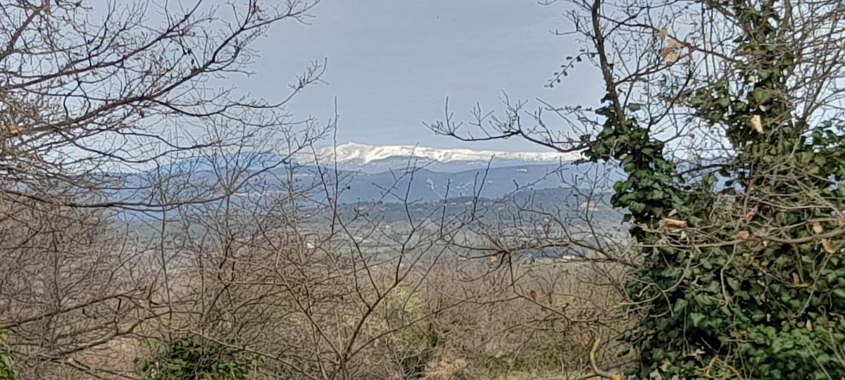 A serene view of distant snow-capped mountains is framed by leafless branches and greenery. The landscape captures the expansive natural beauty of the region, creating a tranquil atmosphere that invites contemplation.