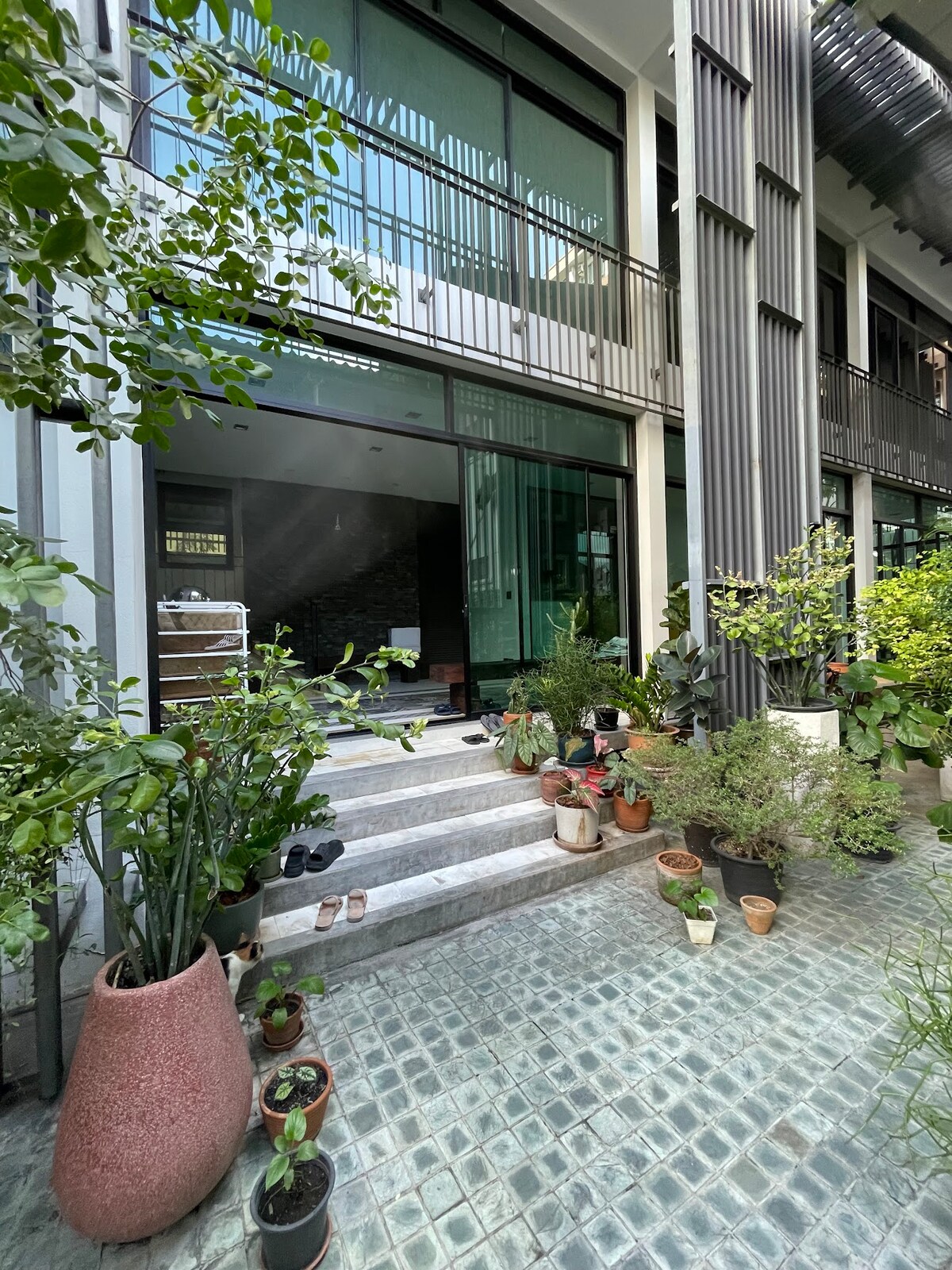 The entrance features a set of steps leading into the interior, framed by a variety of potted plants. Large glass doors allow natural light to fill the space, while the modern building design is complemented by greenery, creating a fresh and inviting environment.