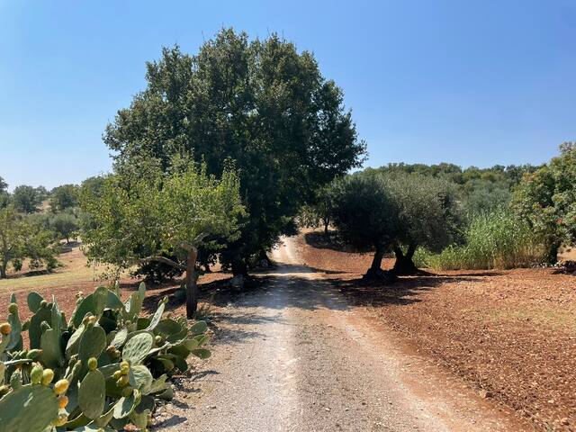 Dimora d’Itria gallery image 4