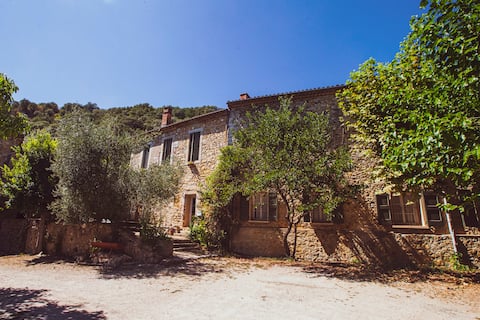 Gîte Domaine d'Anglas