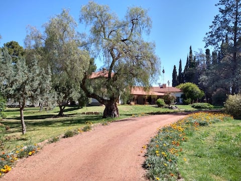 Casa de huéspedes - Hab1 + Hab2