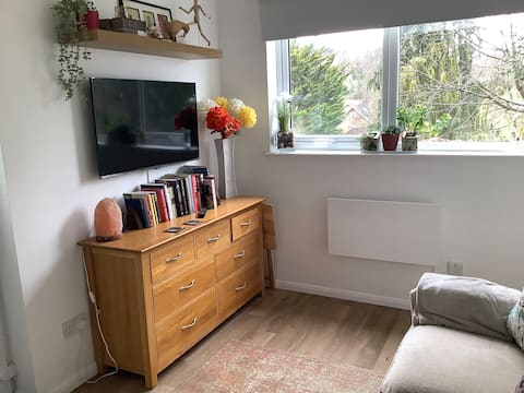 Popular Airbnb listing: Jays in Croydon